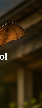 Bat exclusion visual