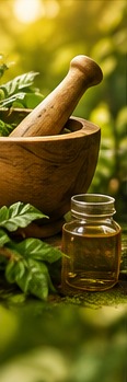 Natural herbal leaves and treatment visual